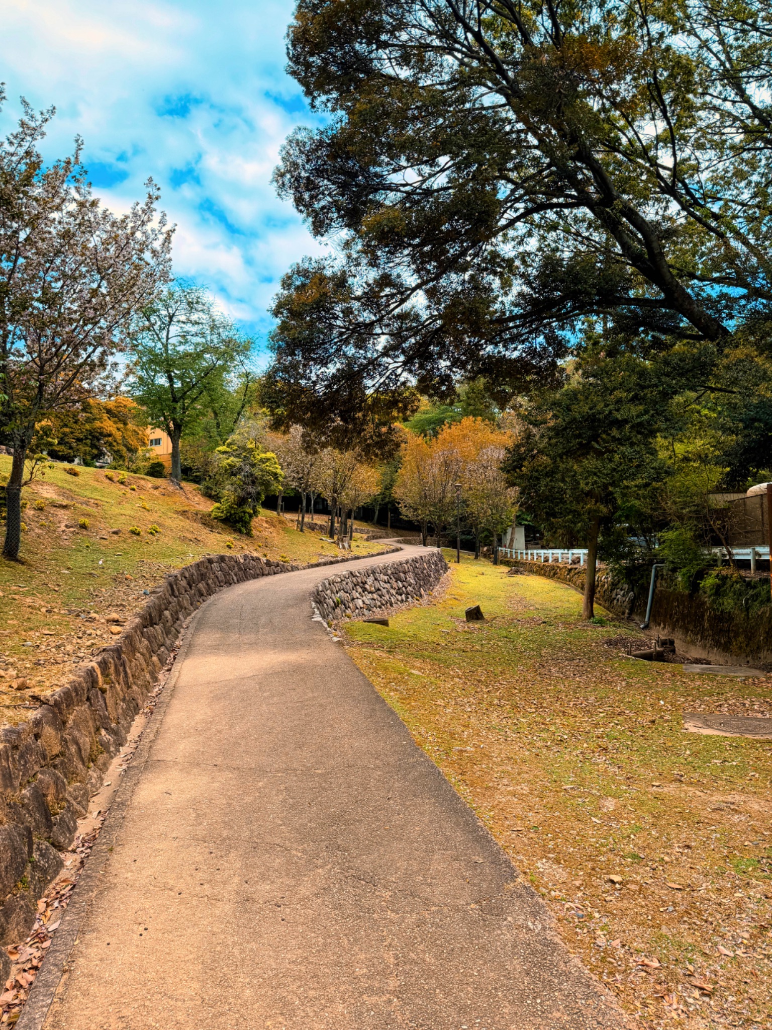 Lantern Path